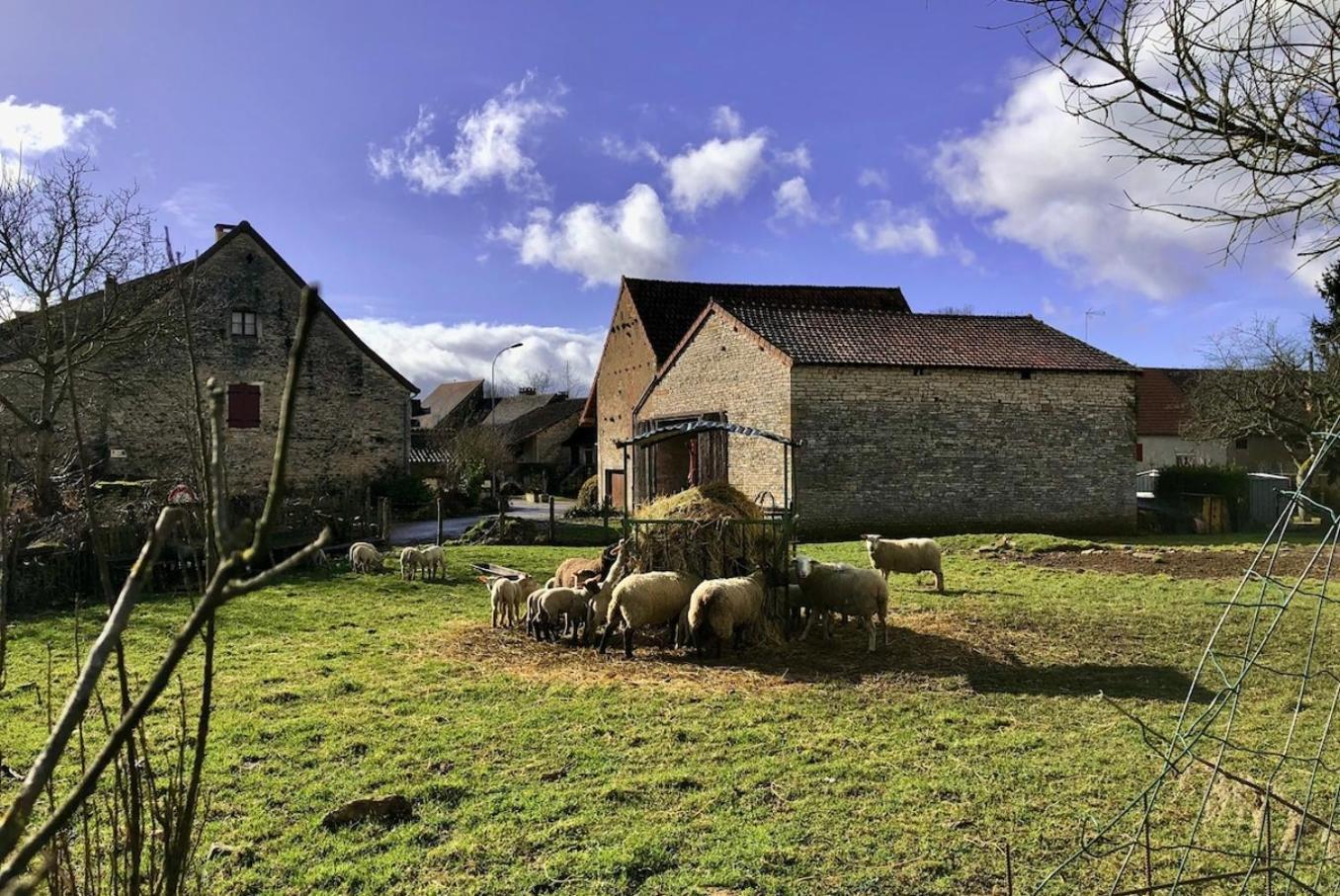 Ferienhaus Charming In The Heart Of Burgundy *